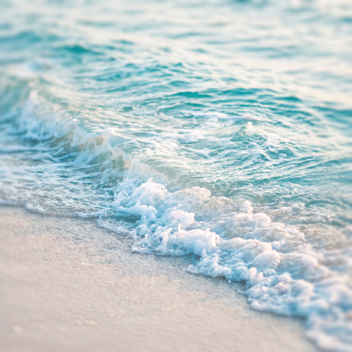 Meer